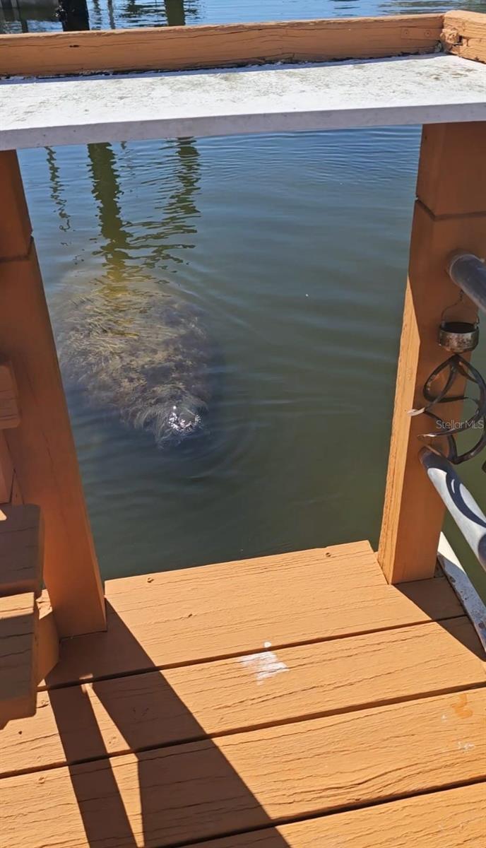 Image 4 of 26 For 7619 Hatteras Drive