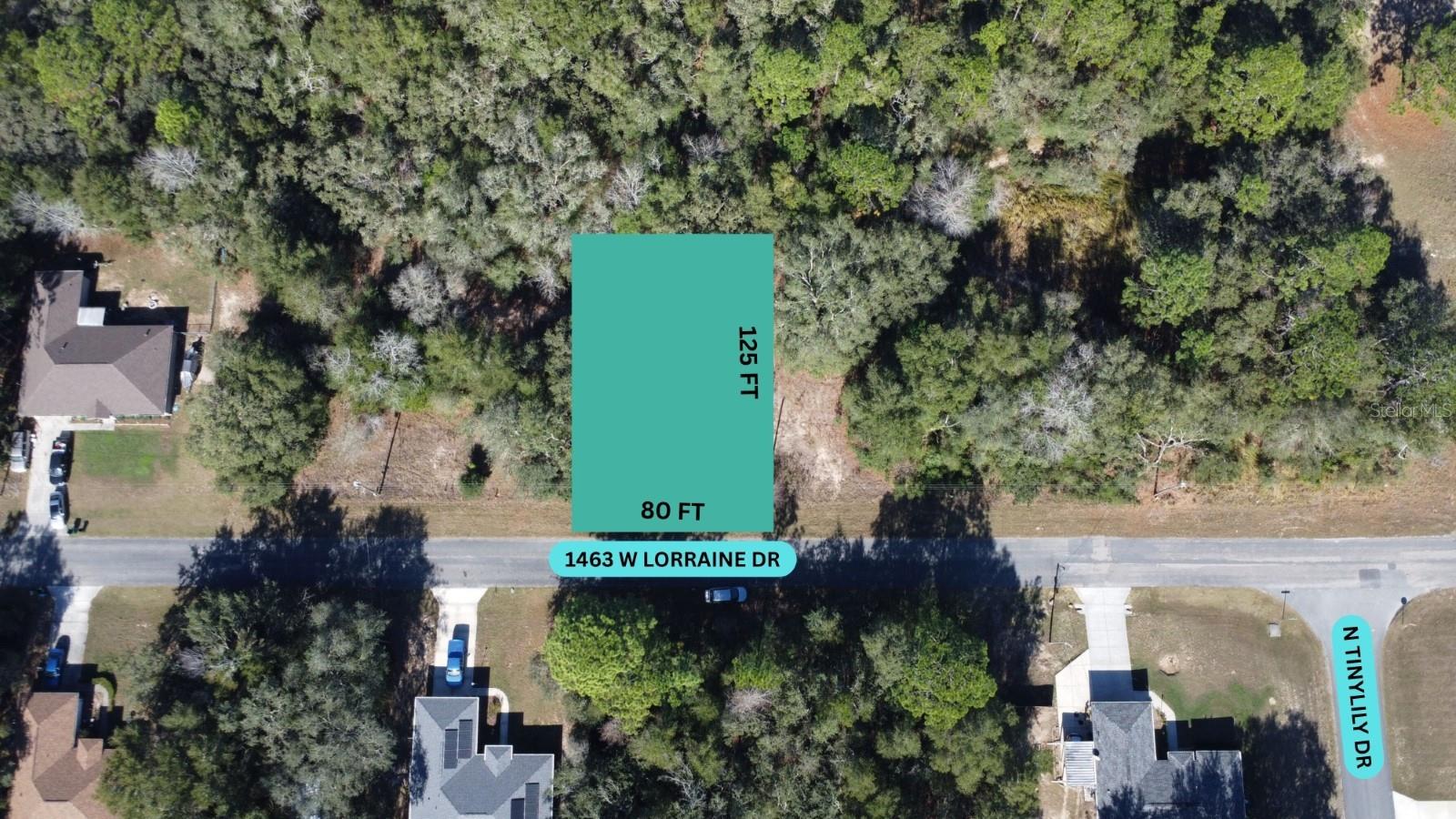 Listing Details for 1463 Lorraine Drive, CITRUS SPRINGS, FL 34434