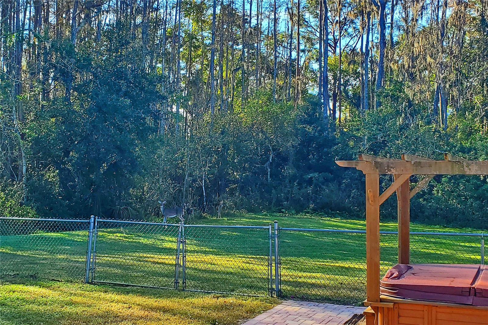 Image 68 of 95 For 6034 Wooden Street