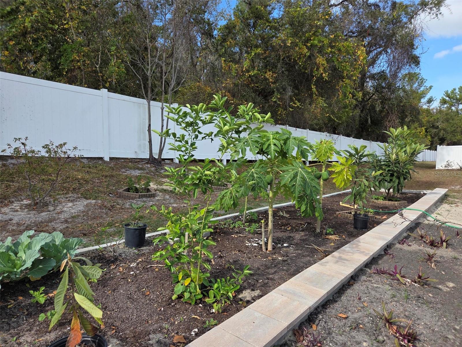 Image 48 of 50 For 11345 Hanis Street