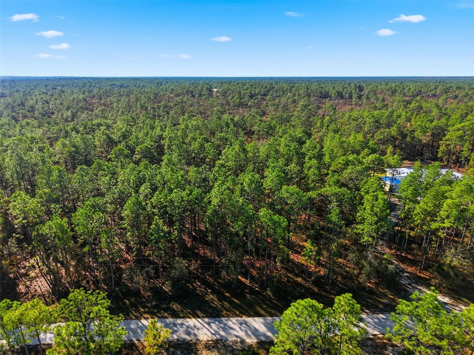 Image 2 of 9 For  Raschke Run 