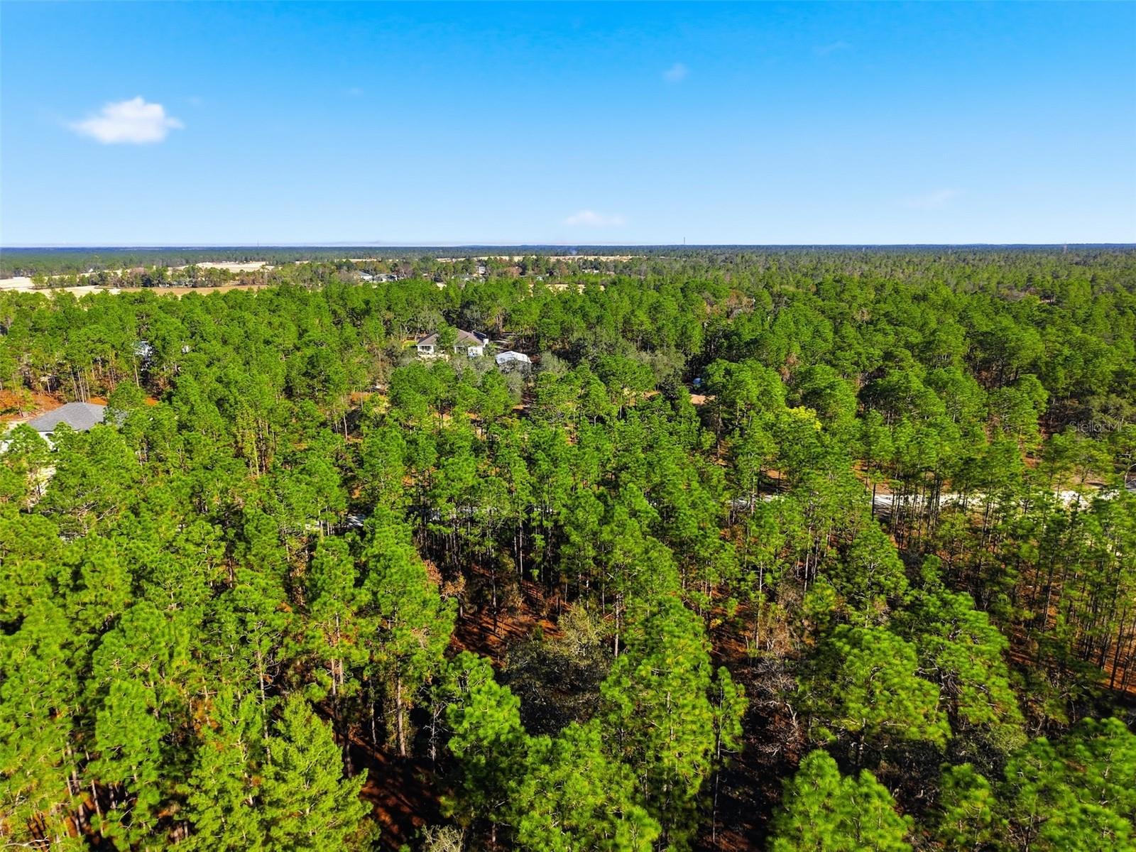 Image 4 of 9 For  Raschke Run 