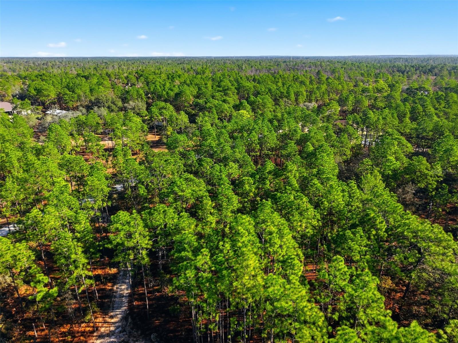 Image 5 of 9 For  Raschke Run 