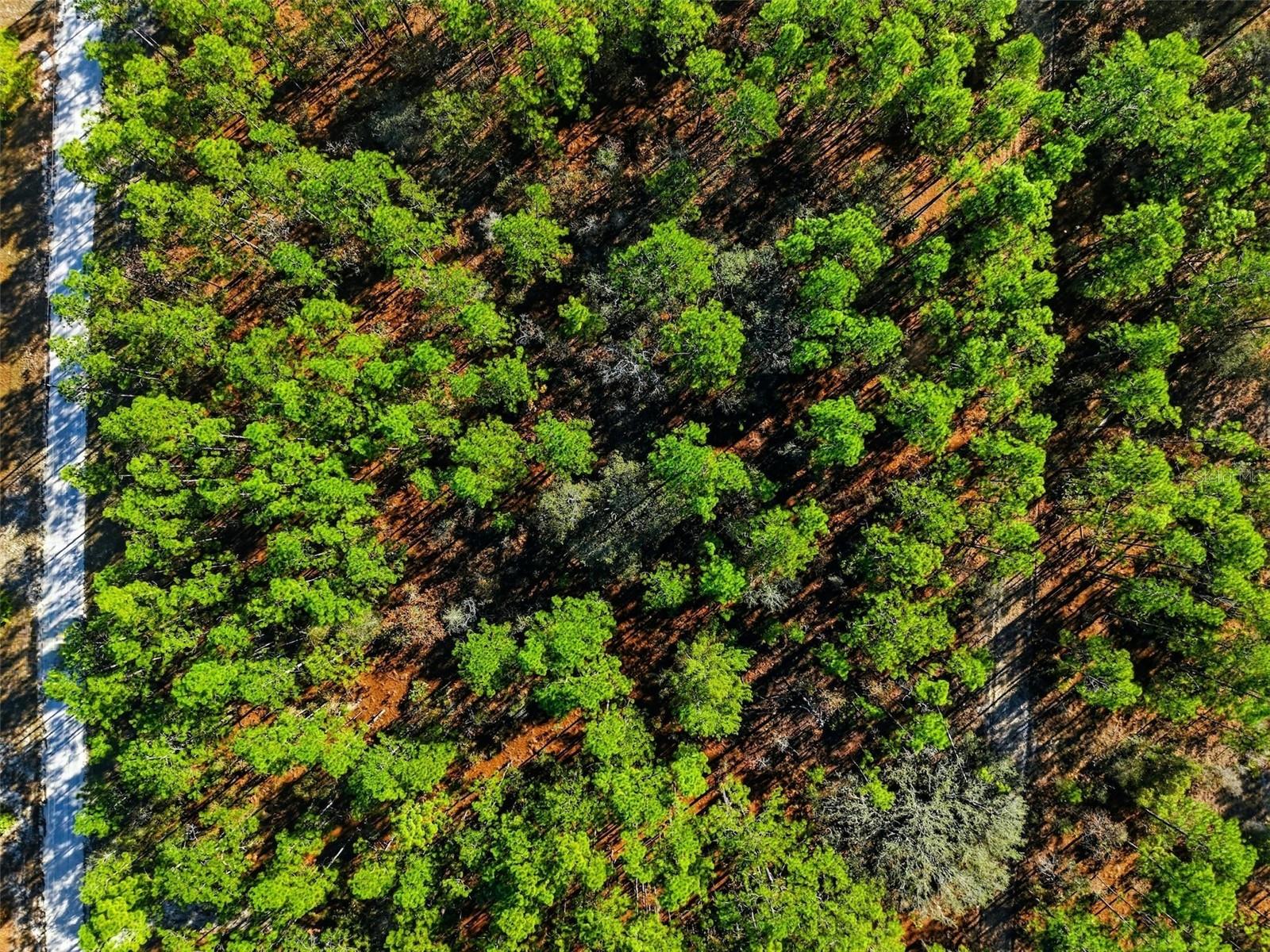 Image 8 of 9 For  Raschke Run 