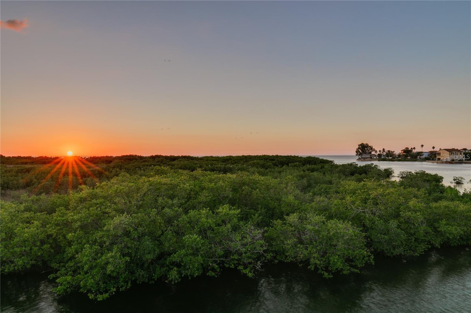 Image 63 of 65 For 14441 Birch Street