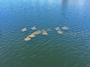 Image 36 of 40 For 14217 Hendry Court