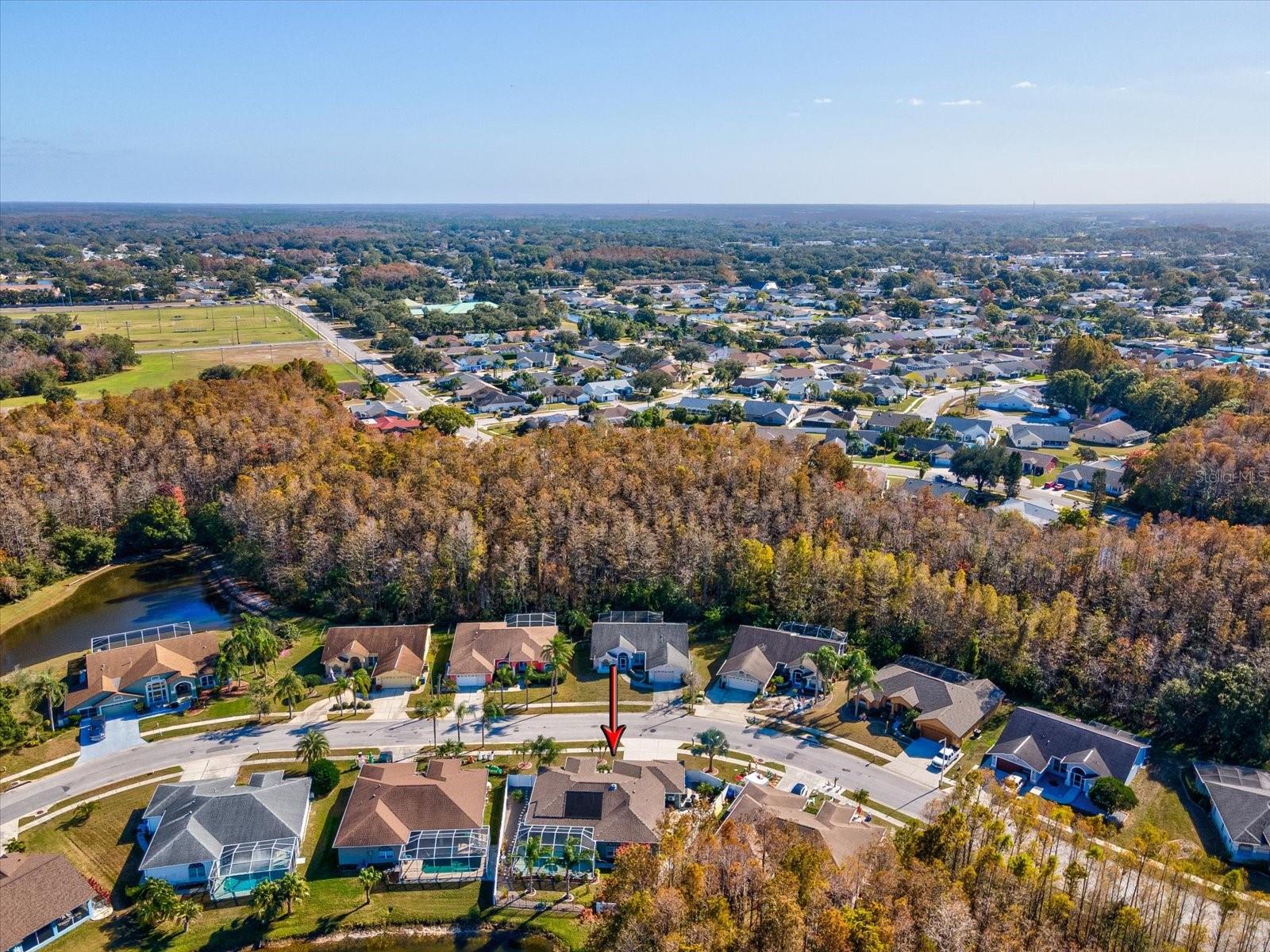 Listing photo id 57 for 4731 Spring Side Drive