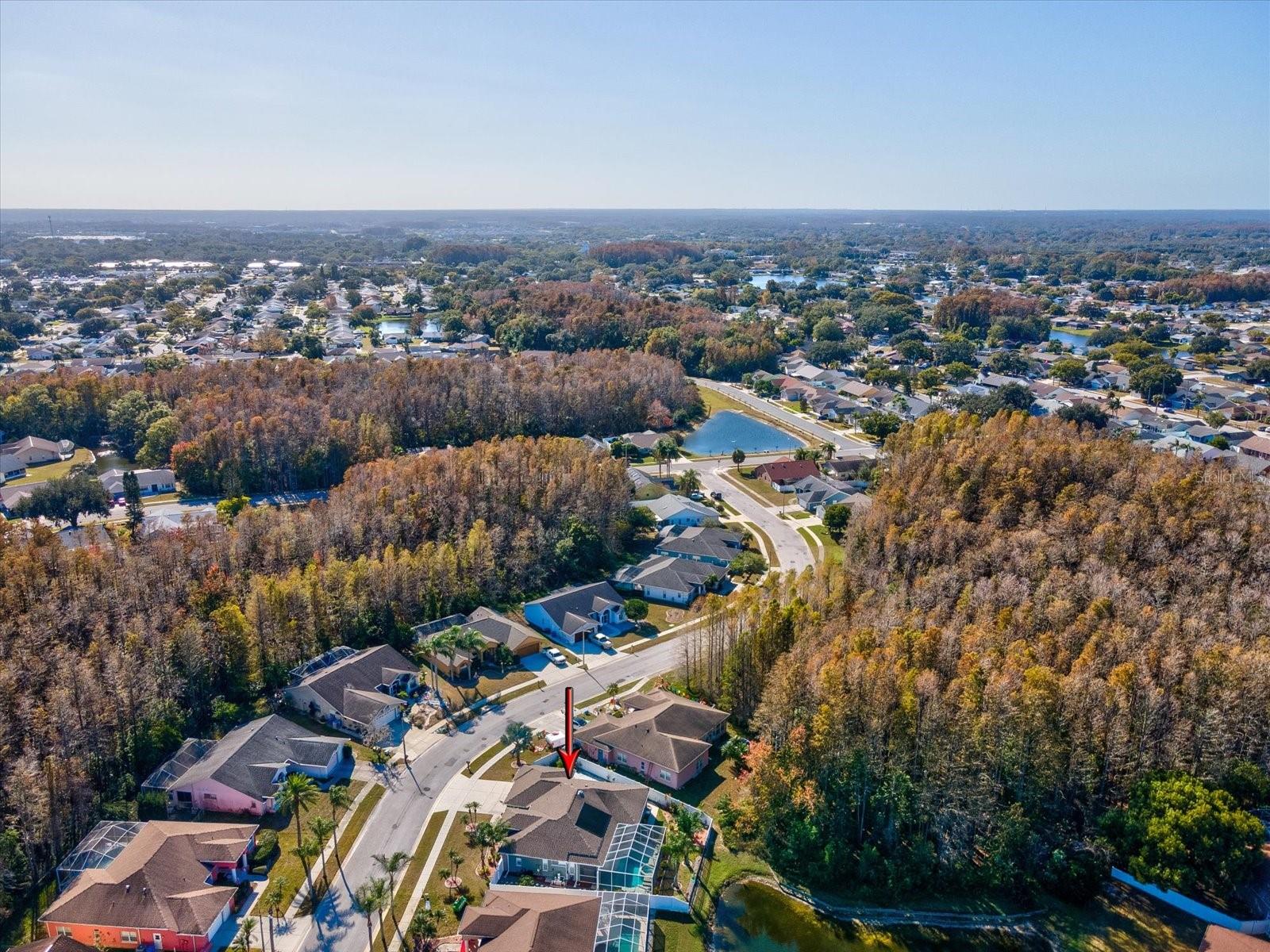 Listing photo id 58 for 4731 Spring Side Drive