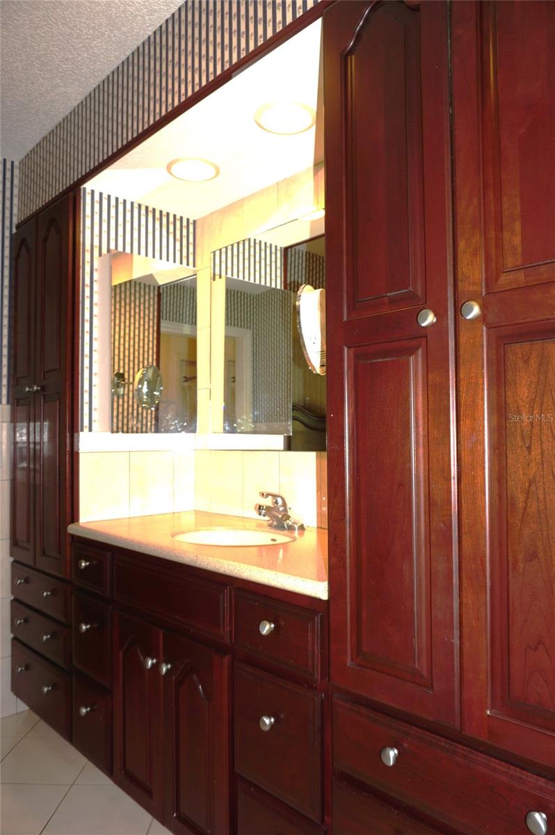 Image 20 of 36 For 2051 Vista Del Sol Circle 201