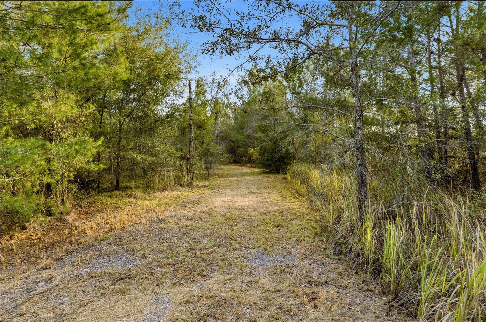 Details for 0 Backwoods Way, BROOKSVILLE, FL 34614