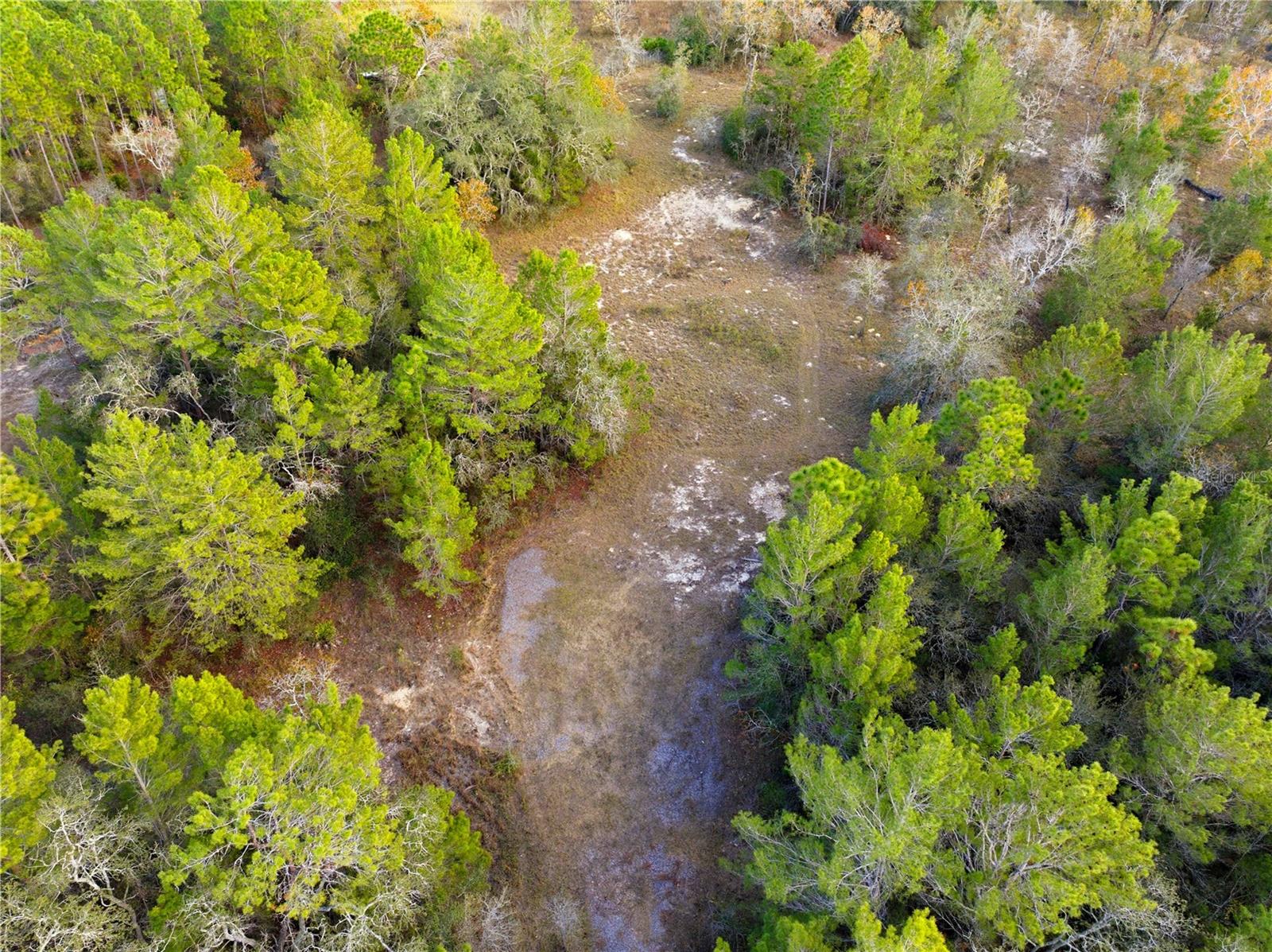 Image 6 of 16 For 0 Backwoods Way