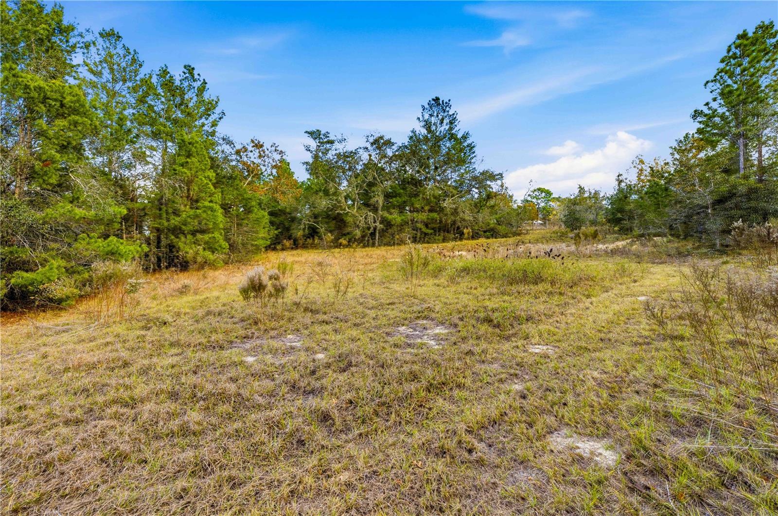 Image 8 of 16 For 0 Backwoods Way