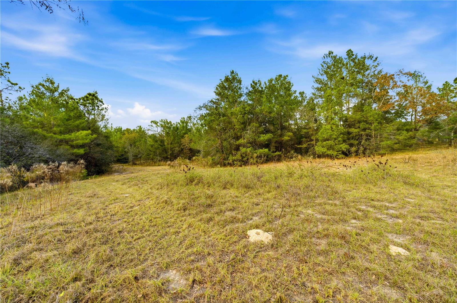 Image 9 of 16 For 0 Backwoods Way