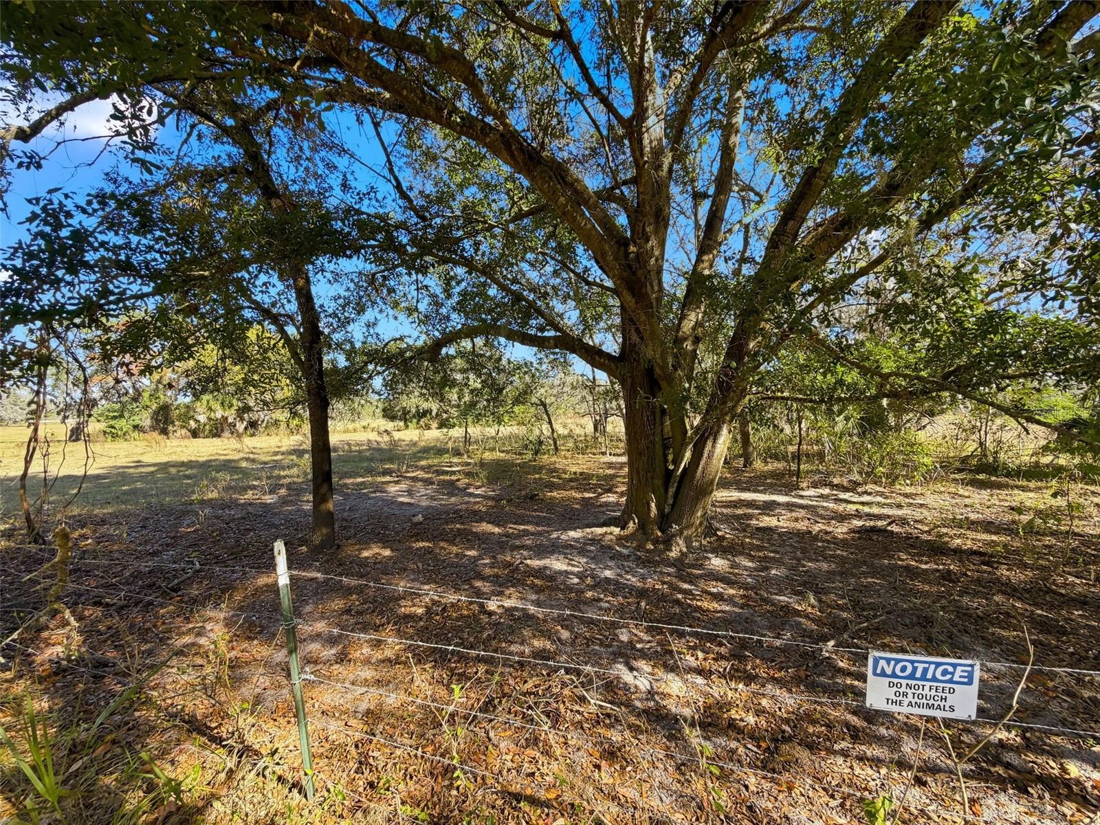 Listing photo id 71 for 9434 Holnwon Court