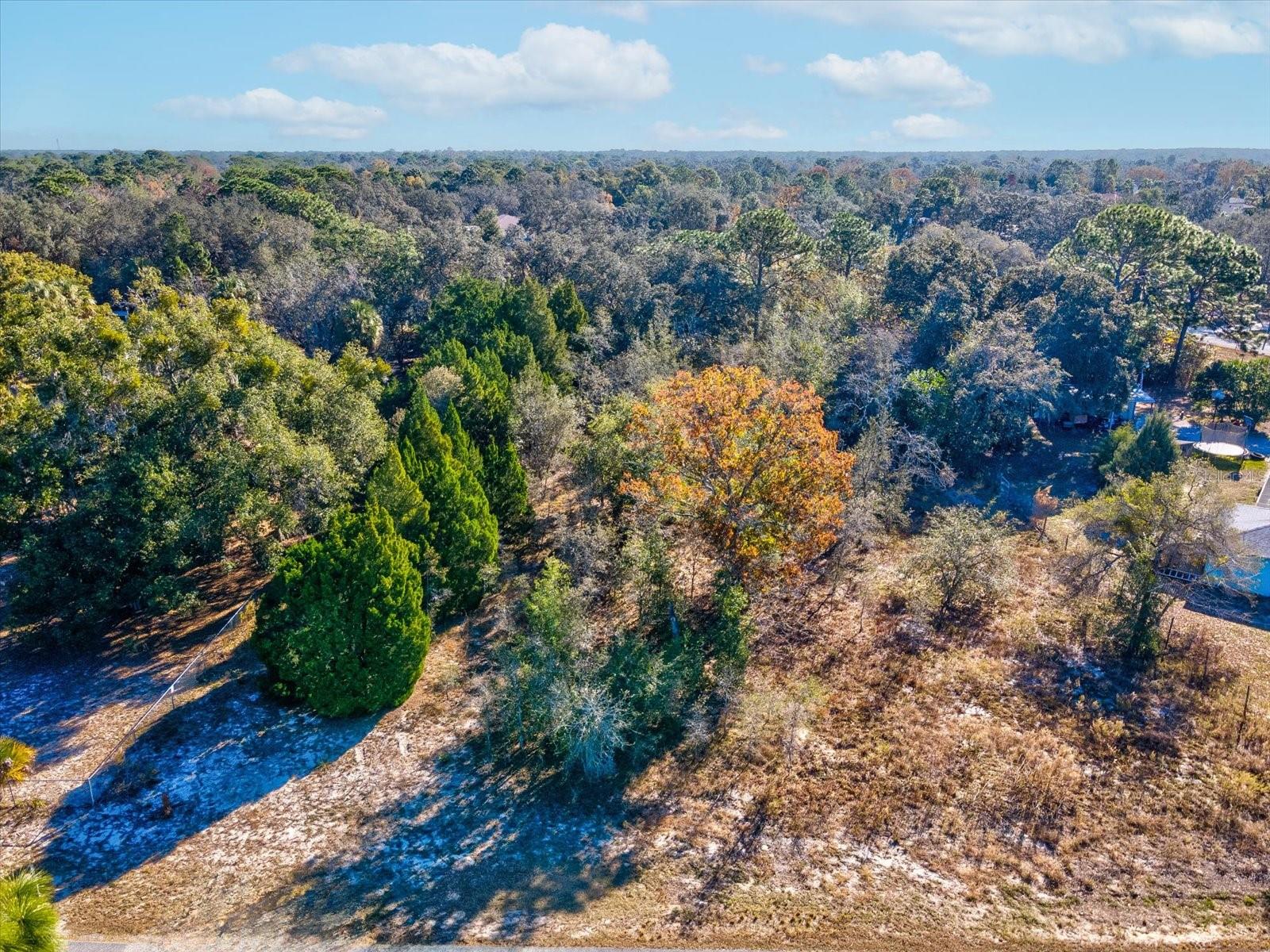 Image 3 of 23 For 00 Floraton Drive