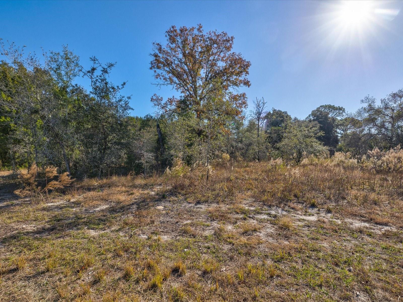 Image 5 of 23 For 00 Floraton Drive