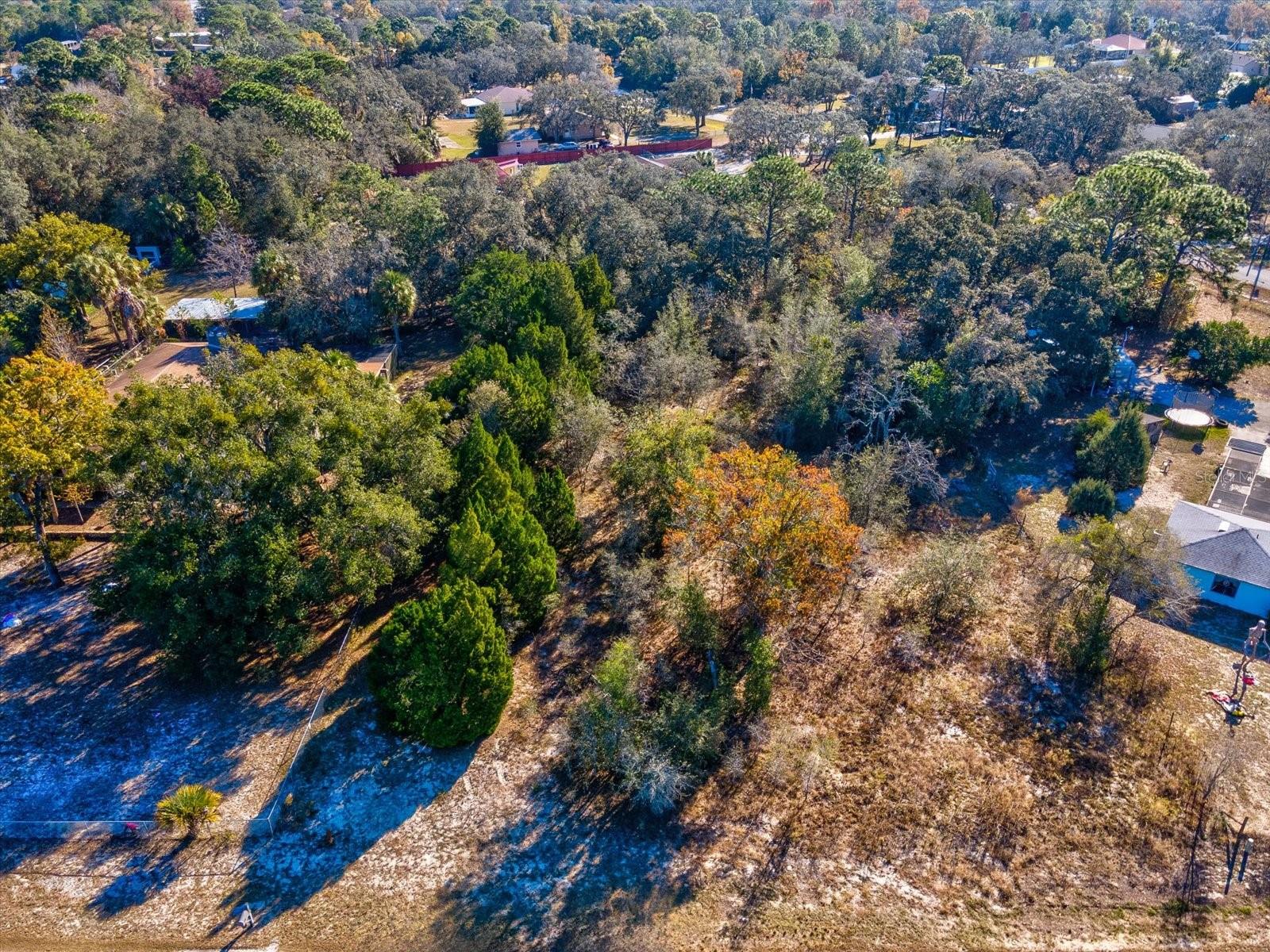 Image 8 of 23 For 00 Floraton Drive