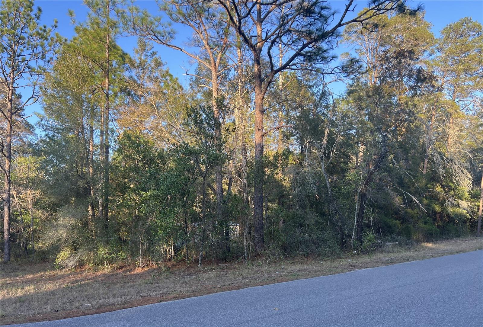 Details for Lot 4+ Blair Avenue, BROOKSVILLE, FL 34604