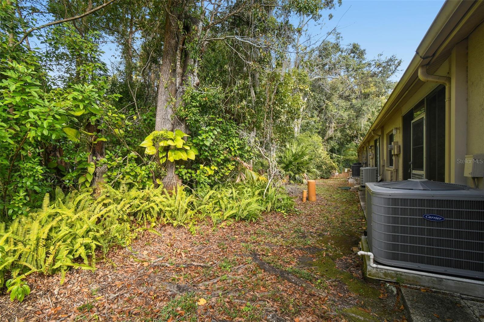 Image 25 of 39 For 6531 Remus Drive