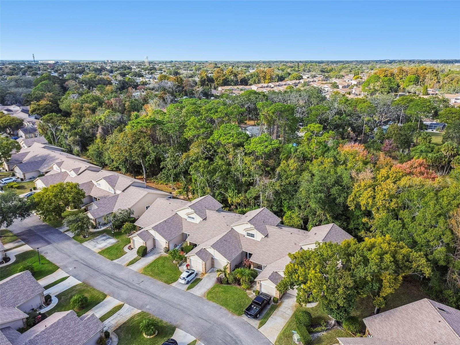 Image 30 of 39 For 6531 Remus Drive