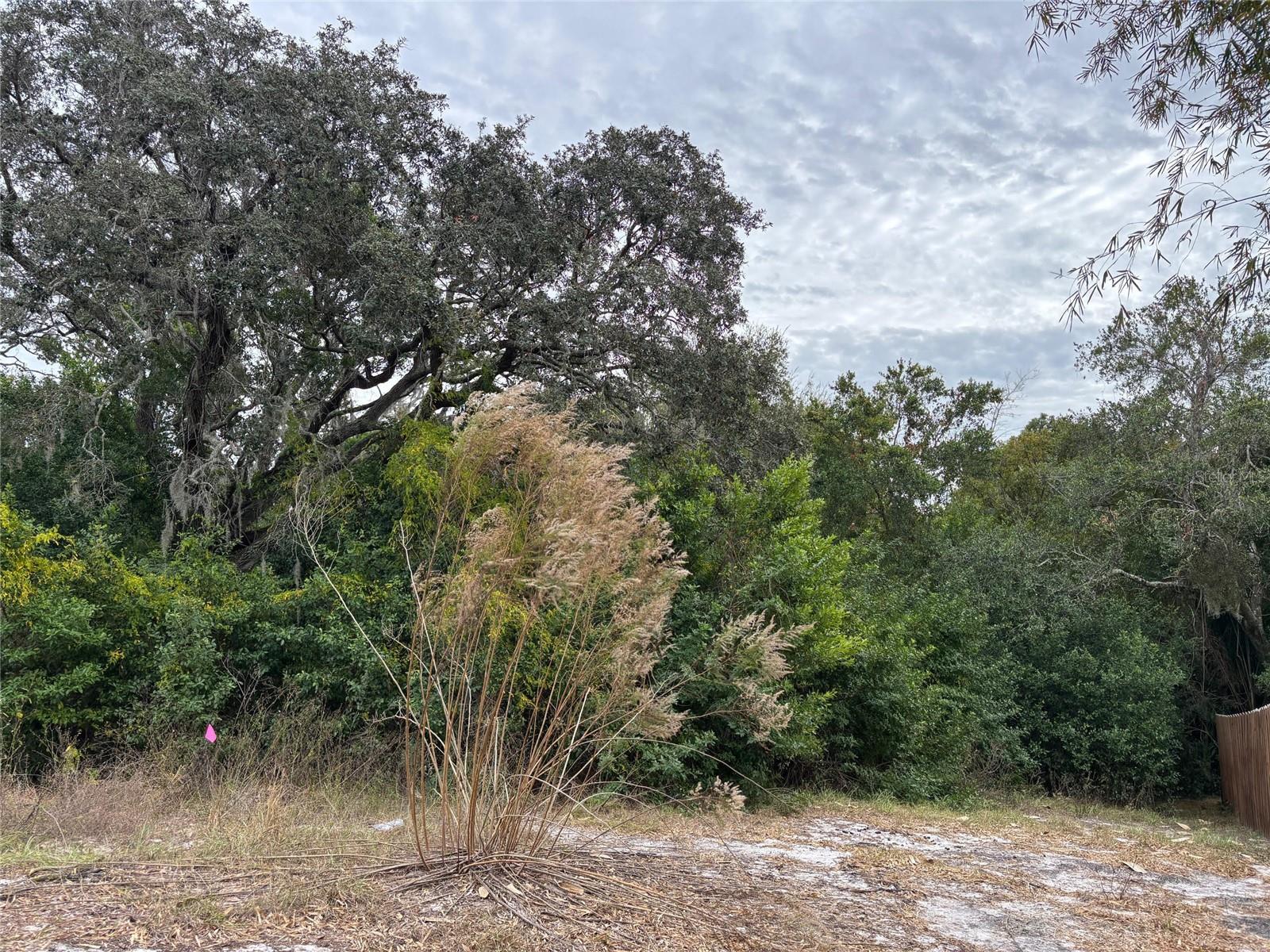 Image 4 of 9 For 6330 Kelvin Court