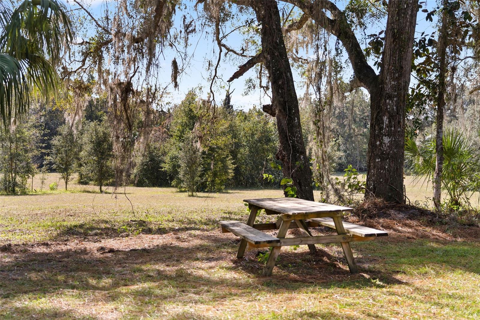 Image 22 of 32 For 15218 Norris Bishop Loop