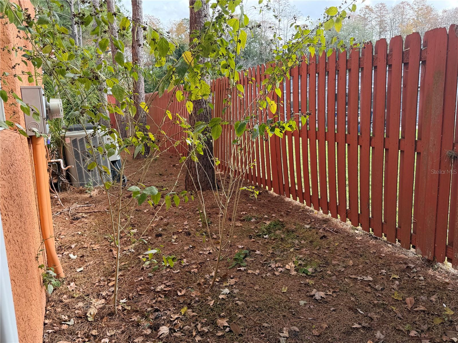 Image 24 of 24 For 2349 Max Court