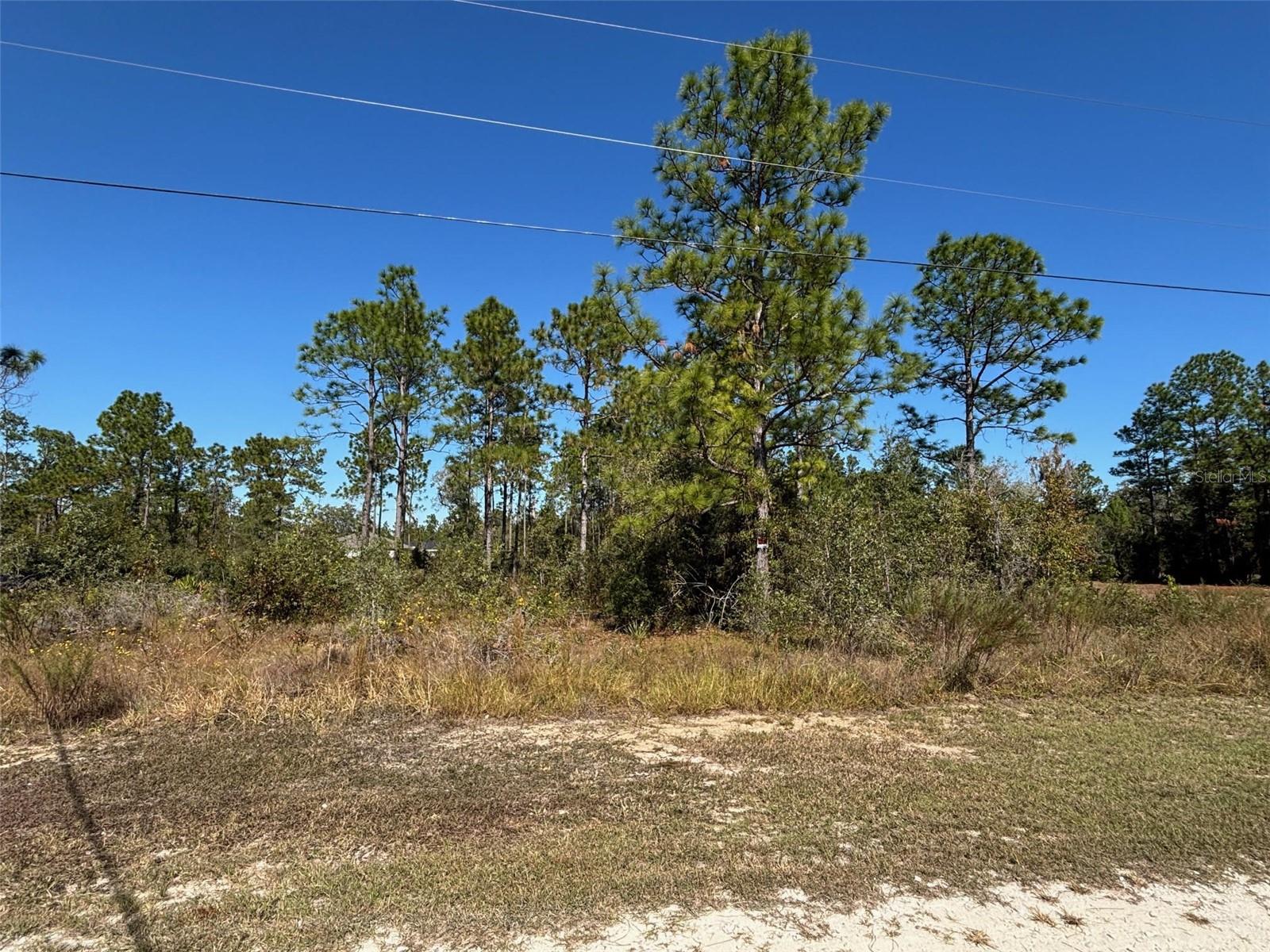 Listing photo id 0 for Lot 16 Calypso Avenue