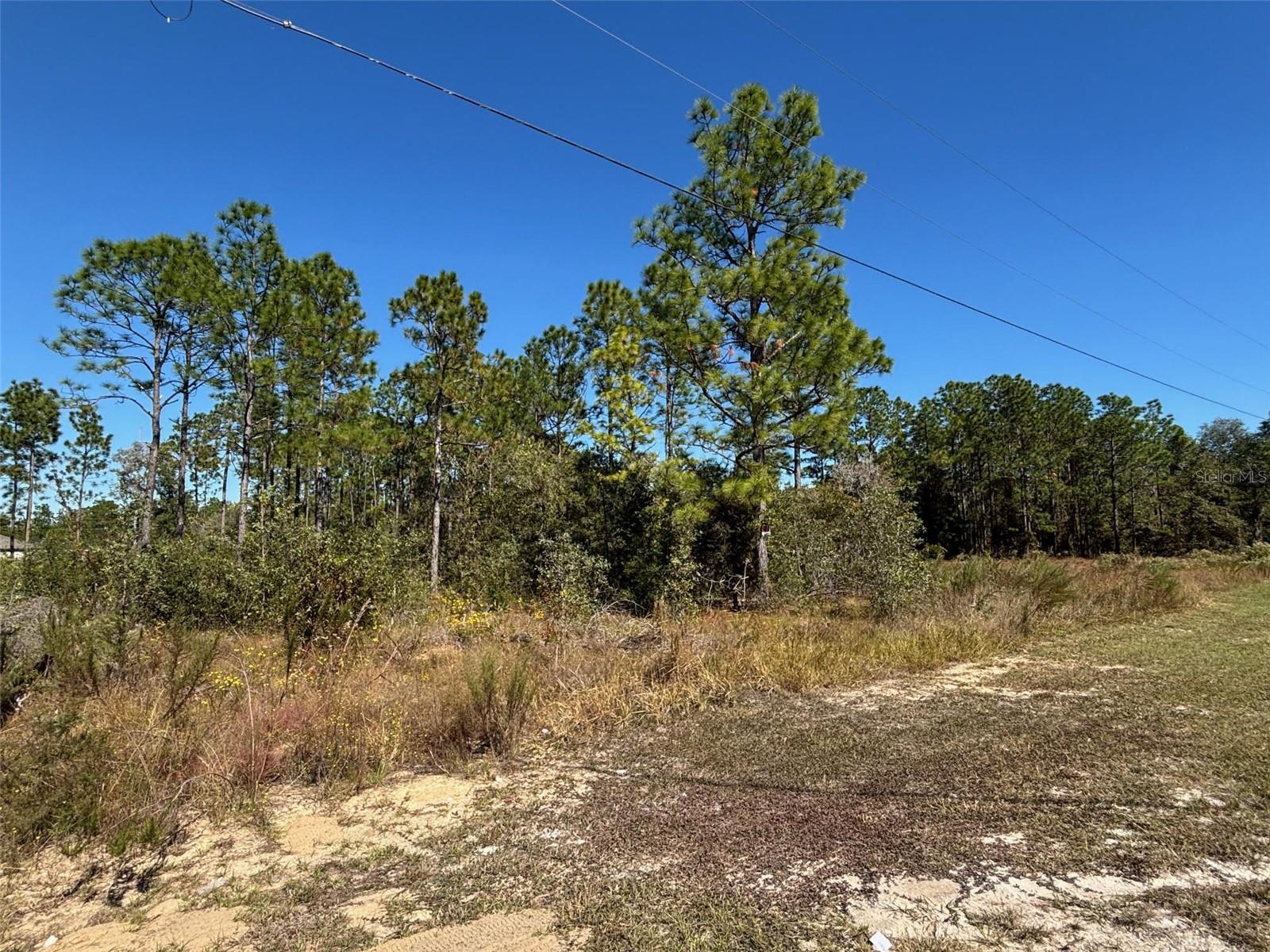 Listing photo id 2 for Lot 16 Calypso Avenue