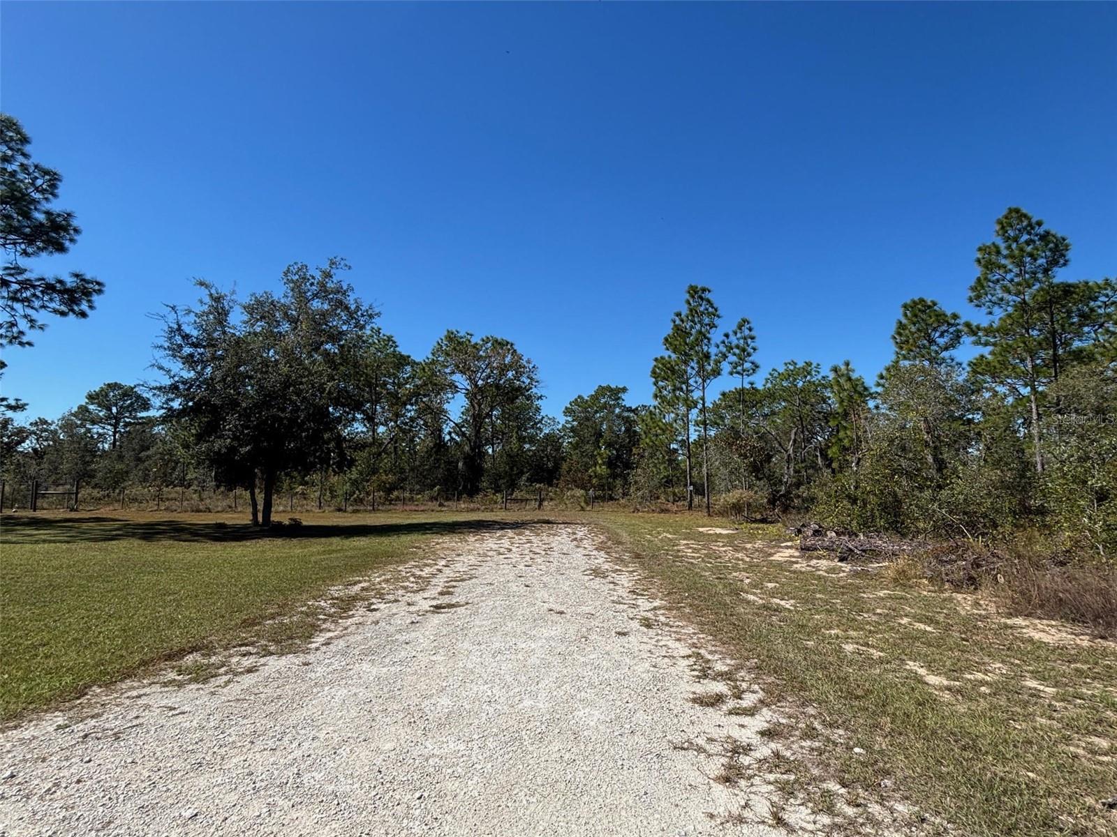 Listing photo id 4 for Lot 16 Calypso Avenue