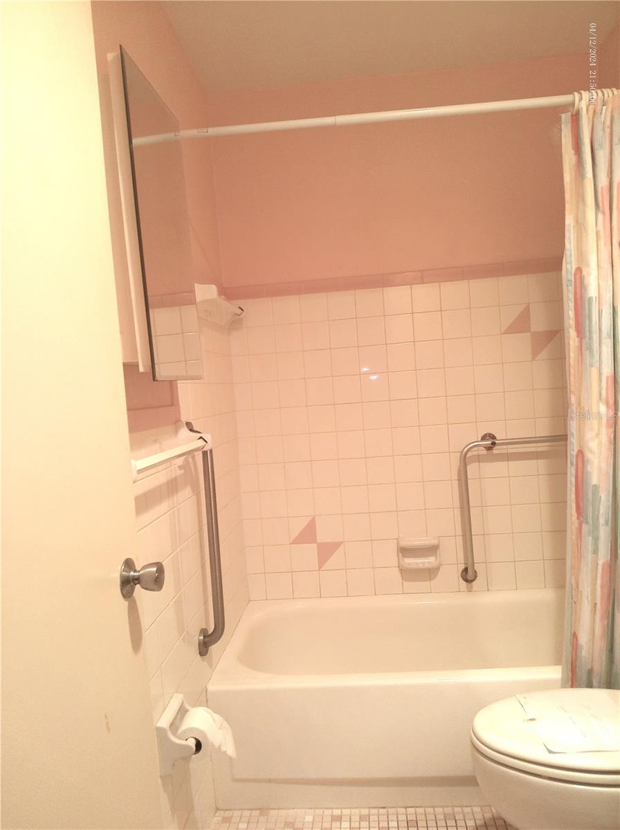 Image 23 of 96 For 2462 Brazilia Drive 44