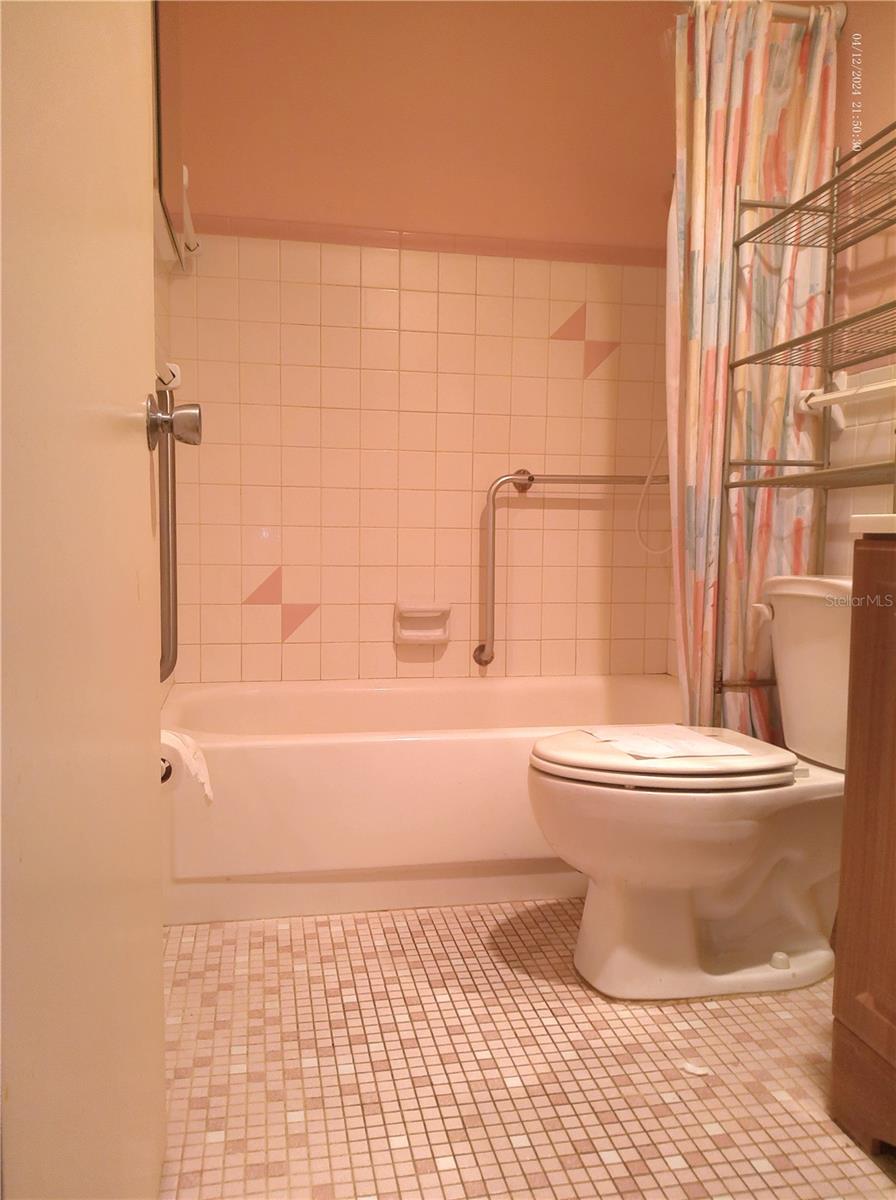 Image 24 of 96 For 2462 Brazilia Drive 44