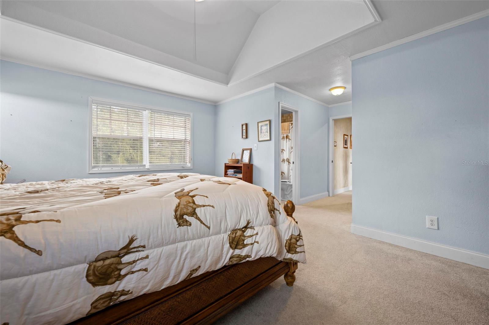 Listing photo id 38 for 5478 Glorious Trail