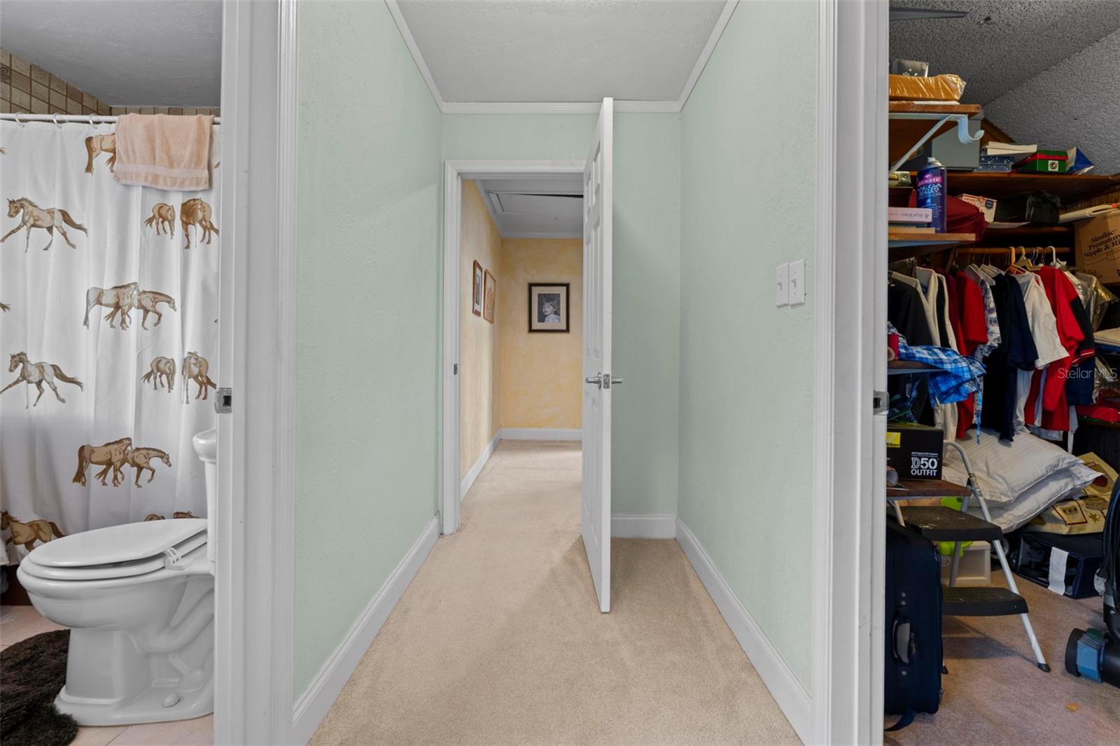 Listing photo id 40 for 5478 Glorious Trail