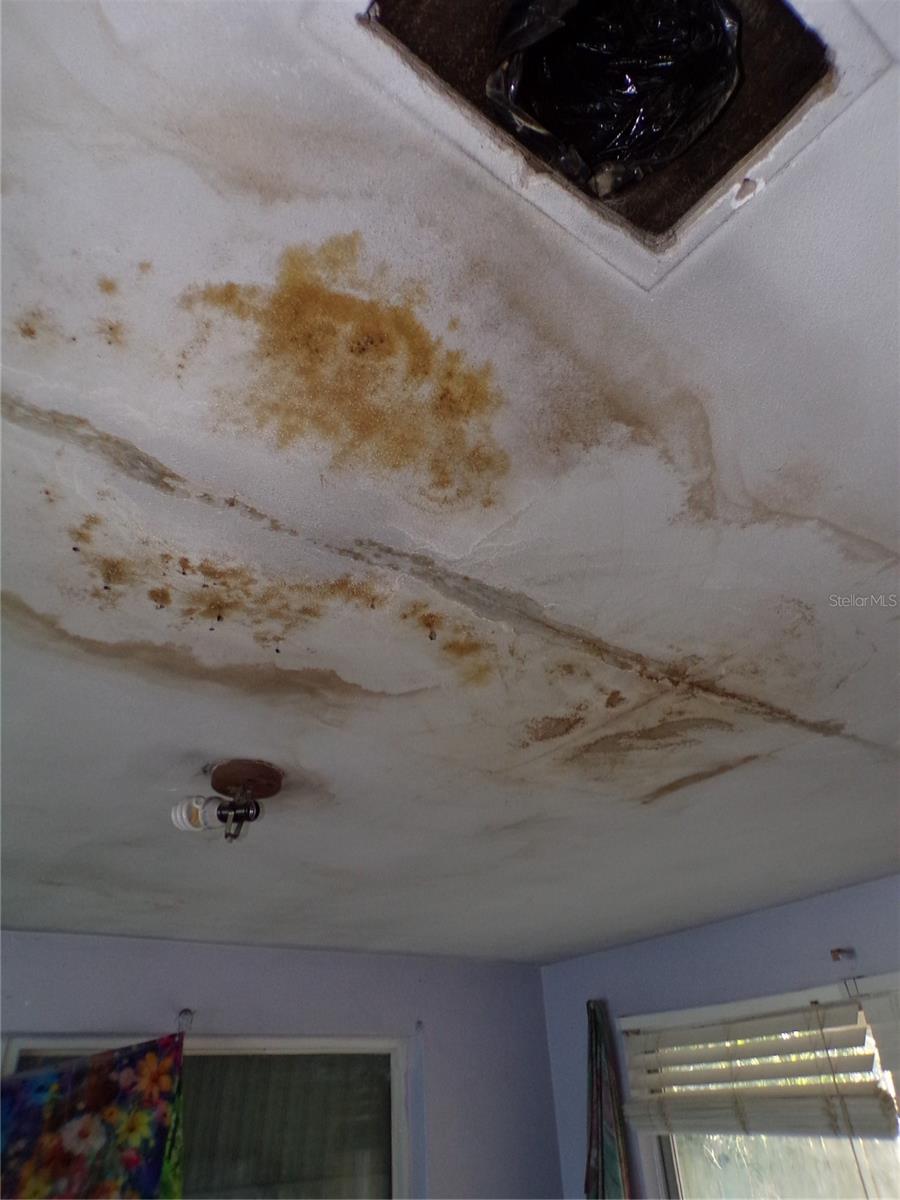 Image 17 of 27 For 3706 Berkshire Street