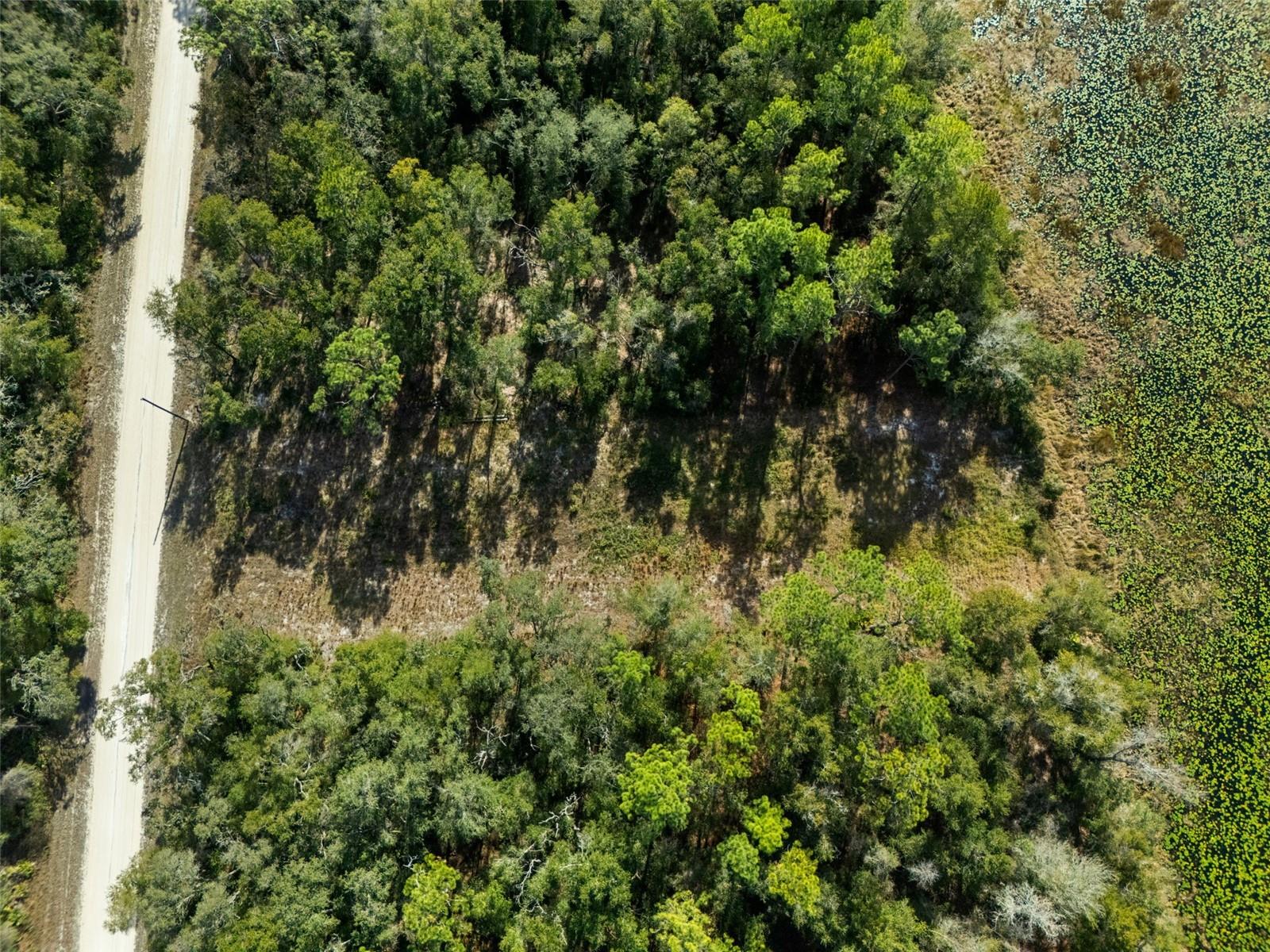 Image 10 of 23 For 0 Alloy Street