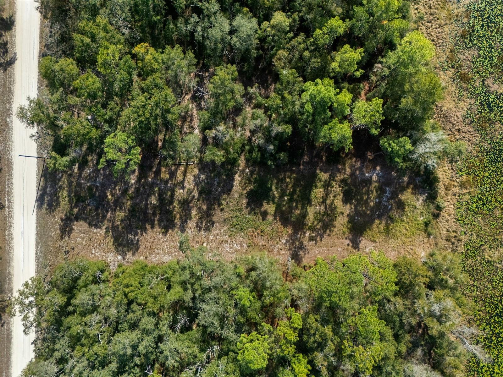 Image 12 of 23 For 0 Alloy Street