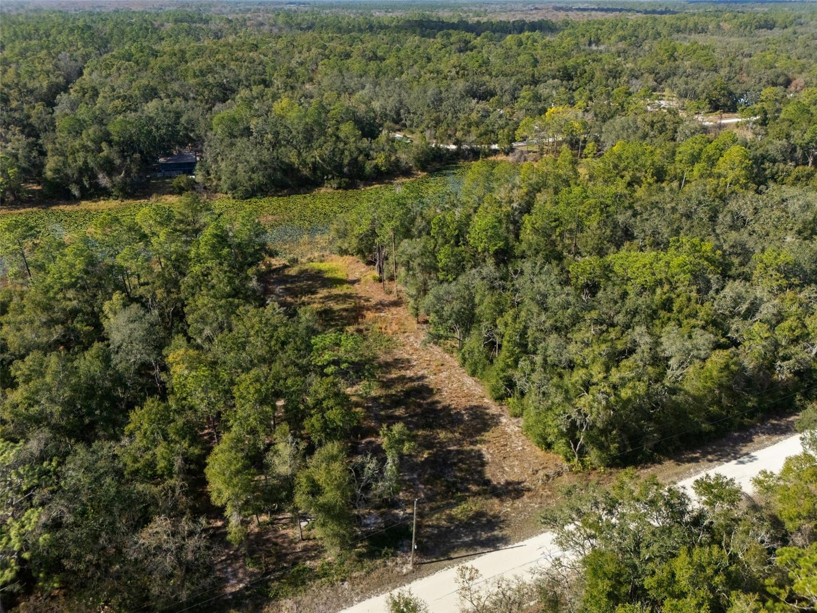 Image 3 of 23 For 0 Alloy Street