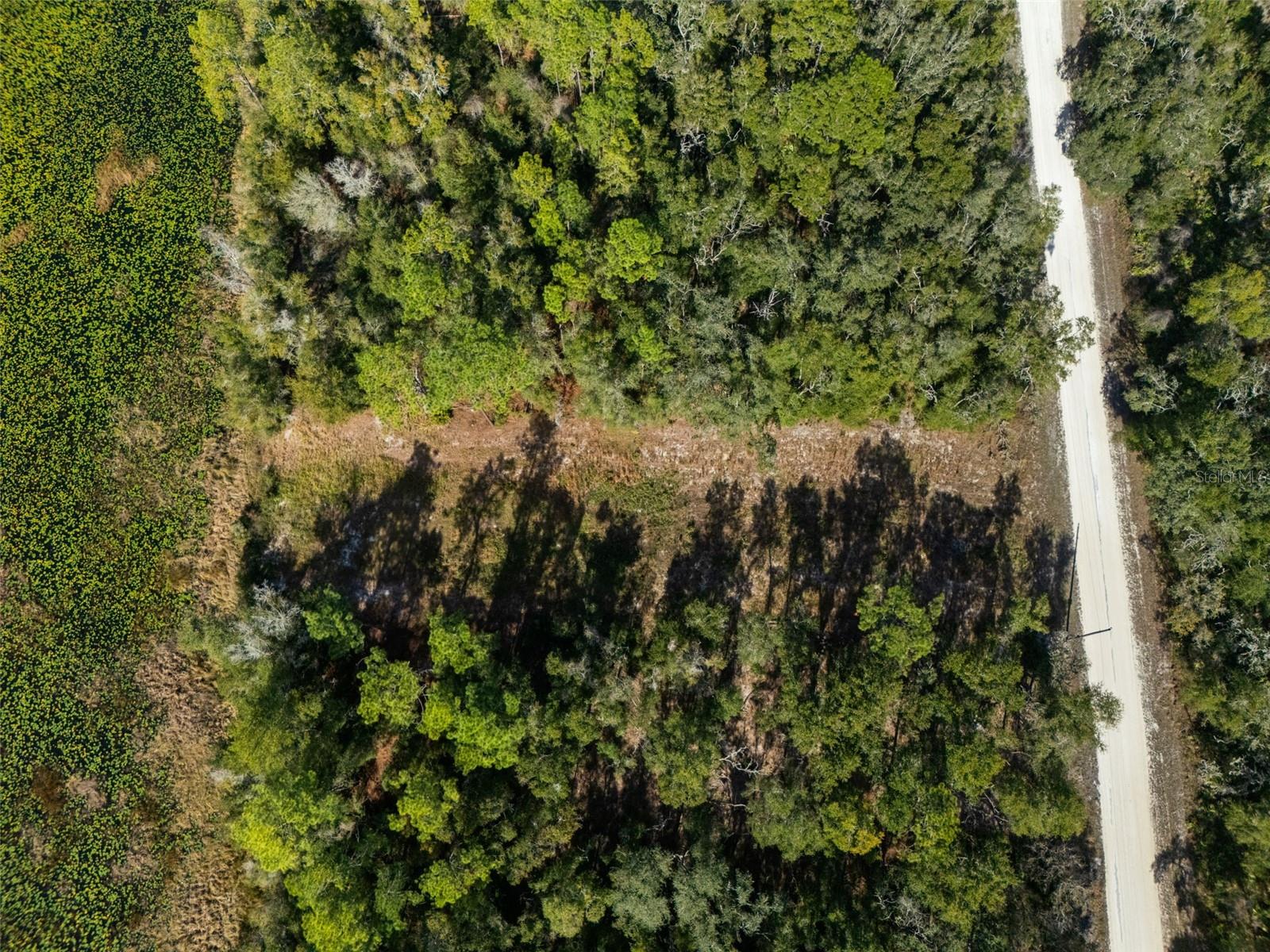 Image 4 of 23 For 0 Alloy Street