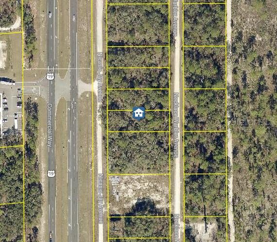 Details for Lot 16 Necklace Warbler Avenue, BROOKSVILLE, FL 34614