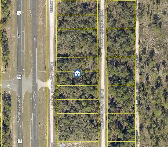 Details for Lot 14 Necklace Warbler, WEEKI WACHEE, FL 34614