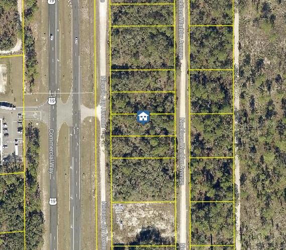 Details for Lot 15 Nicasio Jay Avenue, WEEKI WACHEE, FL 34614