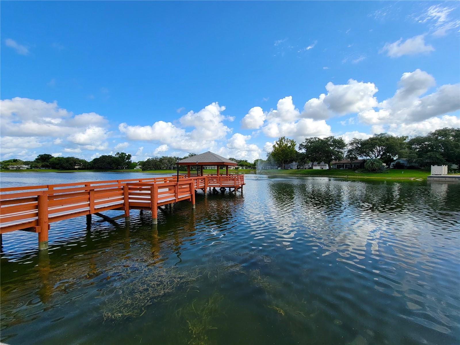 Listing photo id 26 for 11203 Pembridge Court 1