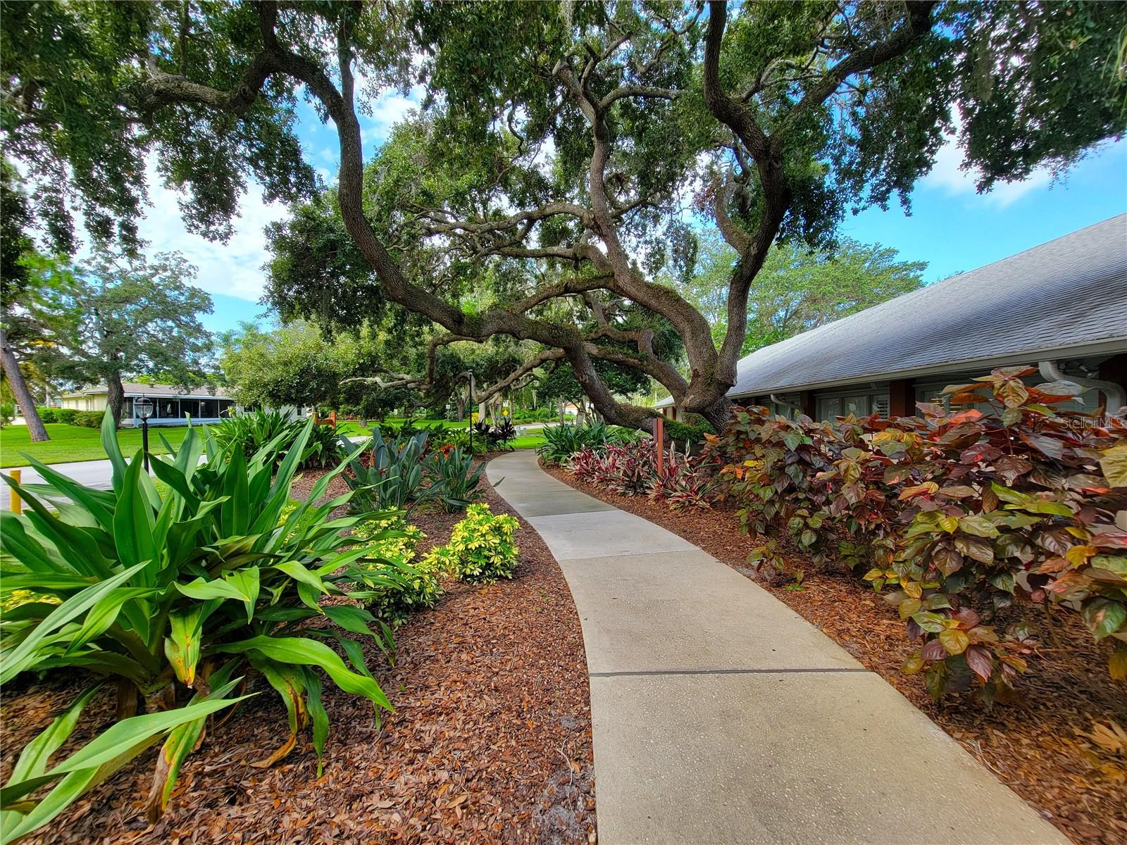 Listing photo id 30 for 11203 Pembridge Court 1