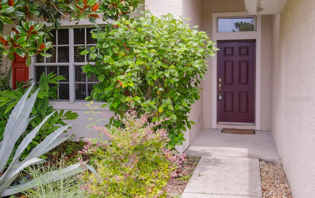 Image 37 of 72 For 4394 Edenrock Place