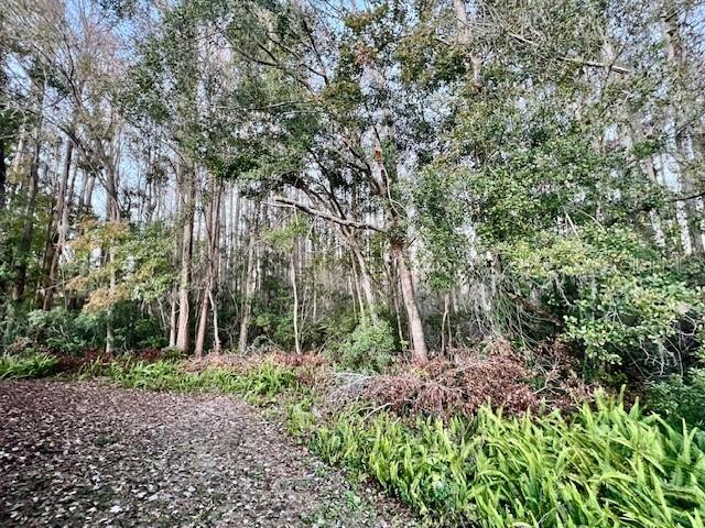 Image 36 of 64 For 11536 Baywood Meadows Drive 3