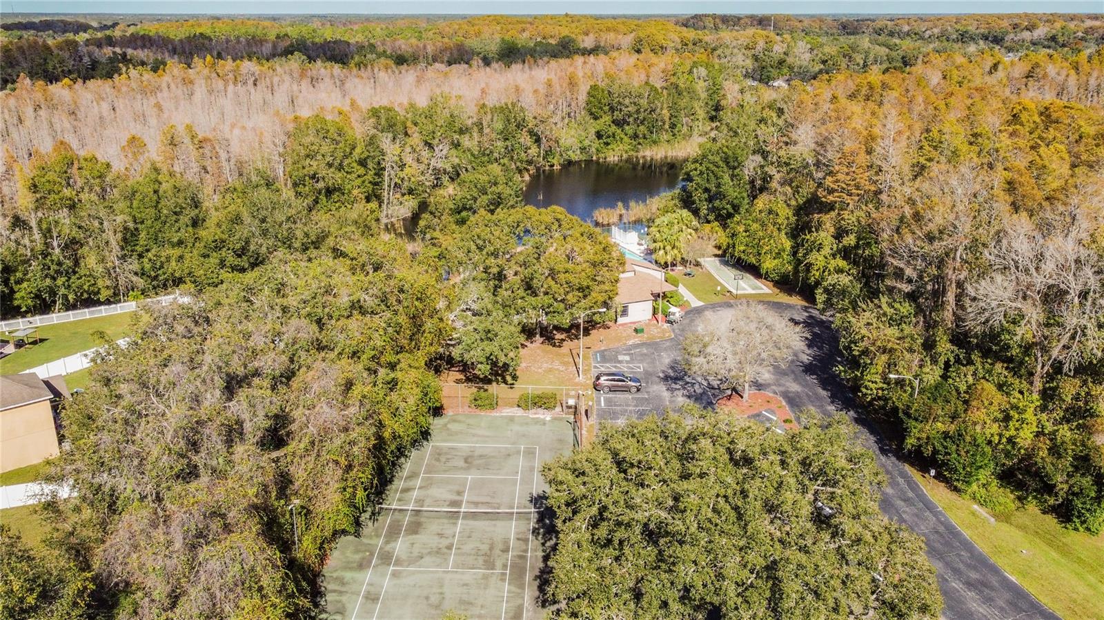 Image 50 of 64 For 11536 Baywood Meadows Drive 3