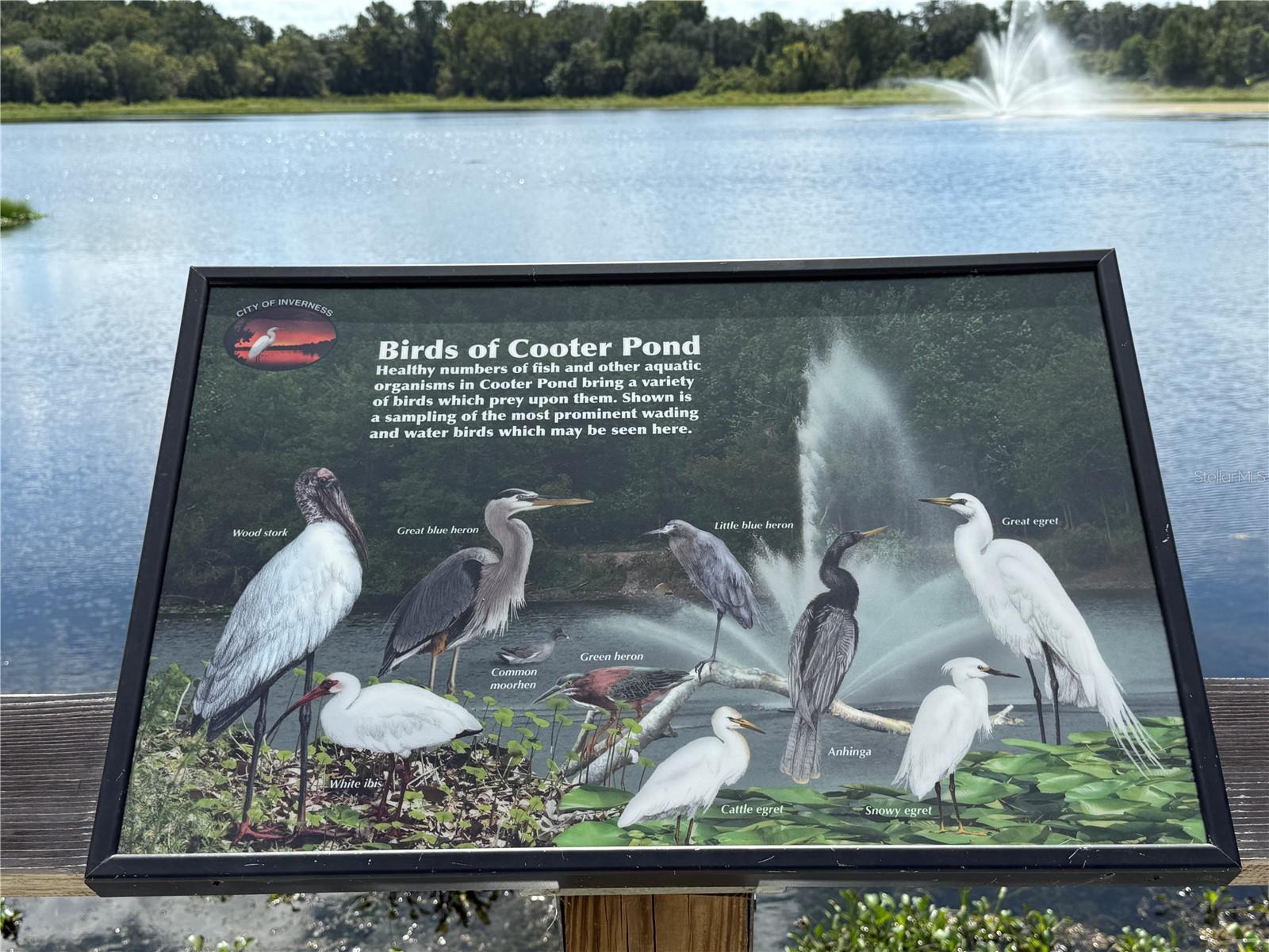 Listing photo id 3 for 326 Homeway Loop