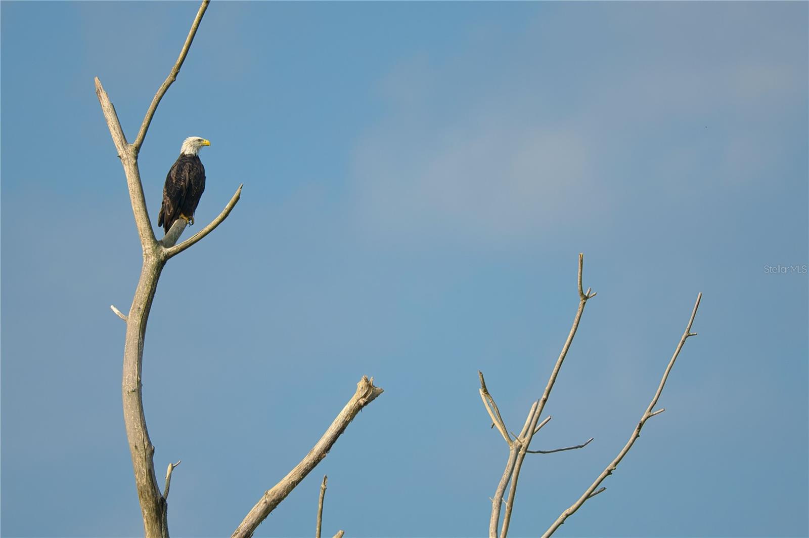 Image 10 of 28 For 4502 Bahama Drive