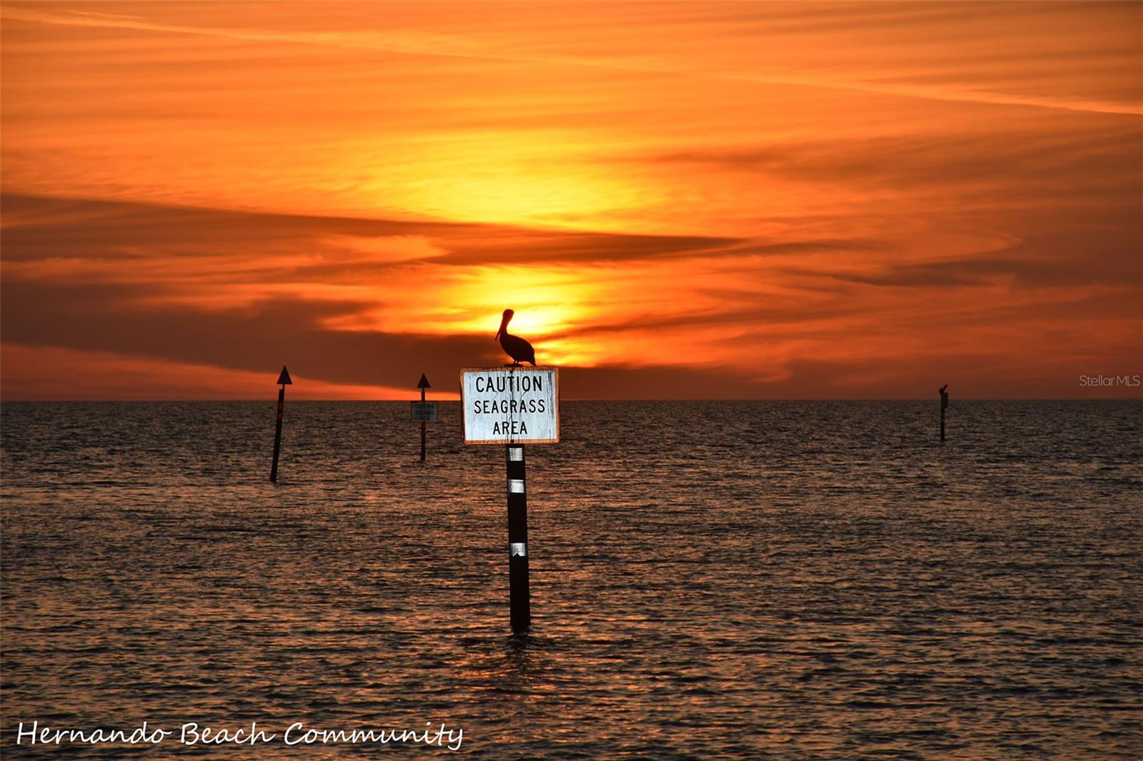 Image 7 of 28 For 4502 Bahama Drive